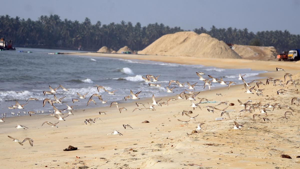 Complaints over dredging in Korapuzha: Assistant Collector to lead expert team