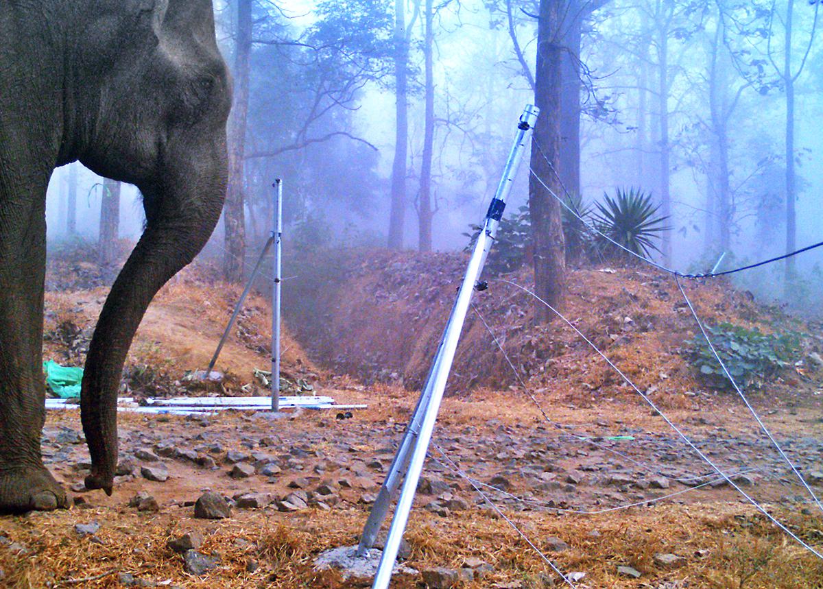 A tusker tries to enter a human habitation in Wayanad after destroying a power fence. 