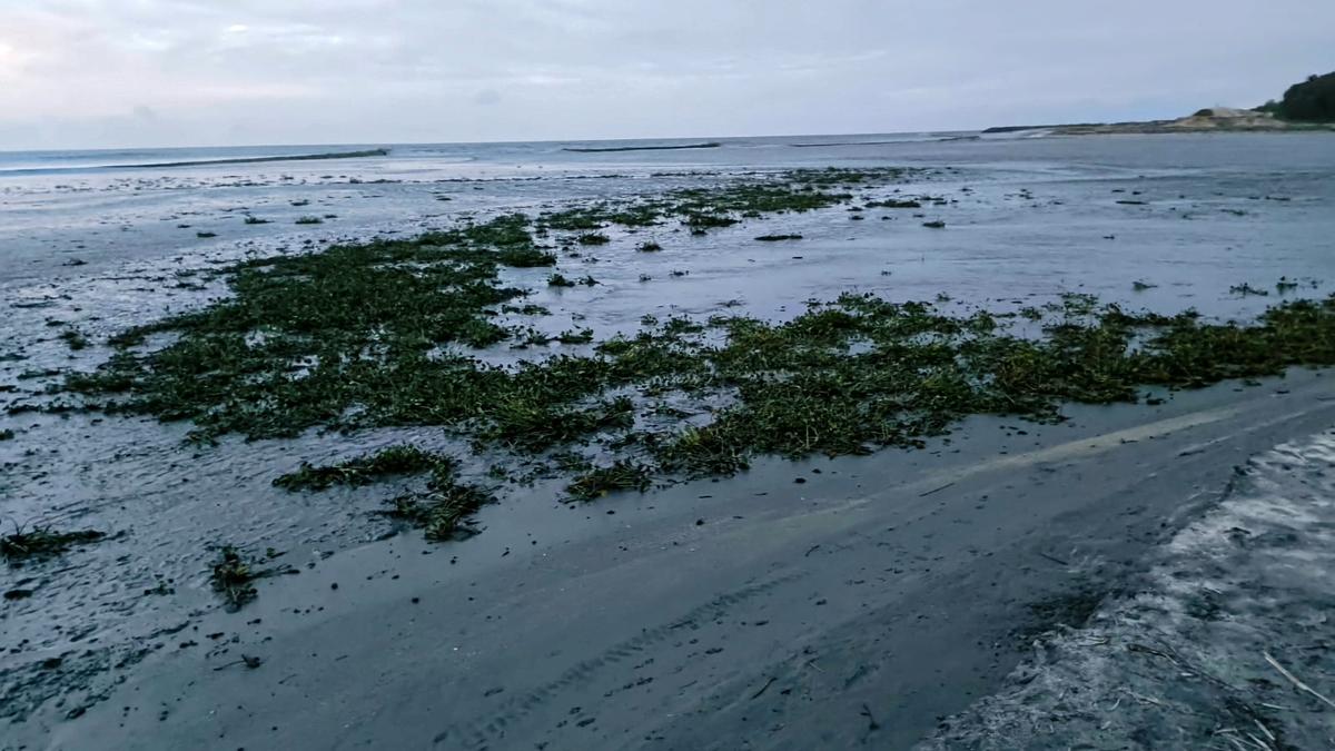 Swell waves continue to pound coastline of Kerala