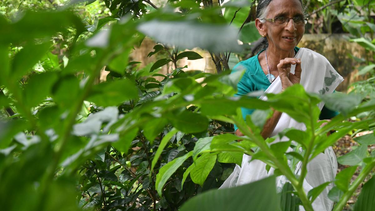 Septuagenarian homemaker from Kochi has a vegetable garden where