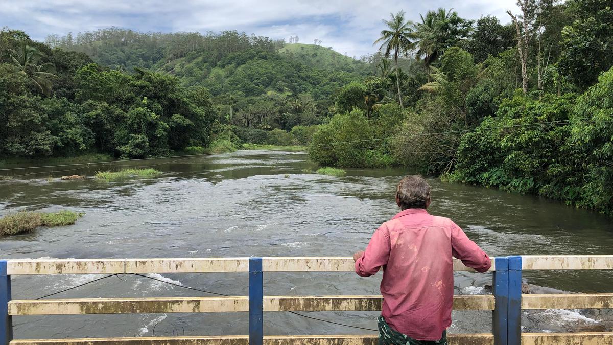 Tamil Nadu opens 13 spillway shutters at Mullaperiyar dam