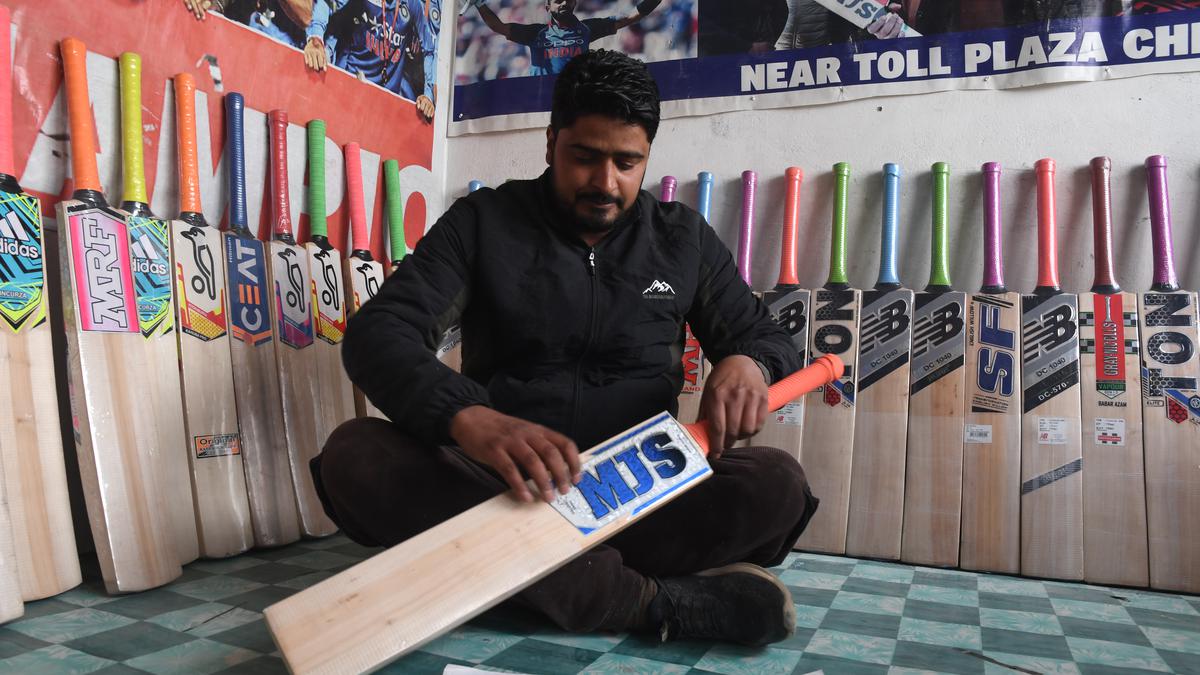 Watch | Why is the cricket bat-making industry in Kashmir in trouble?