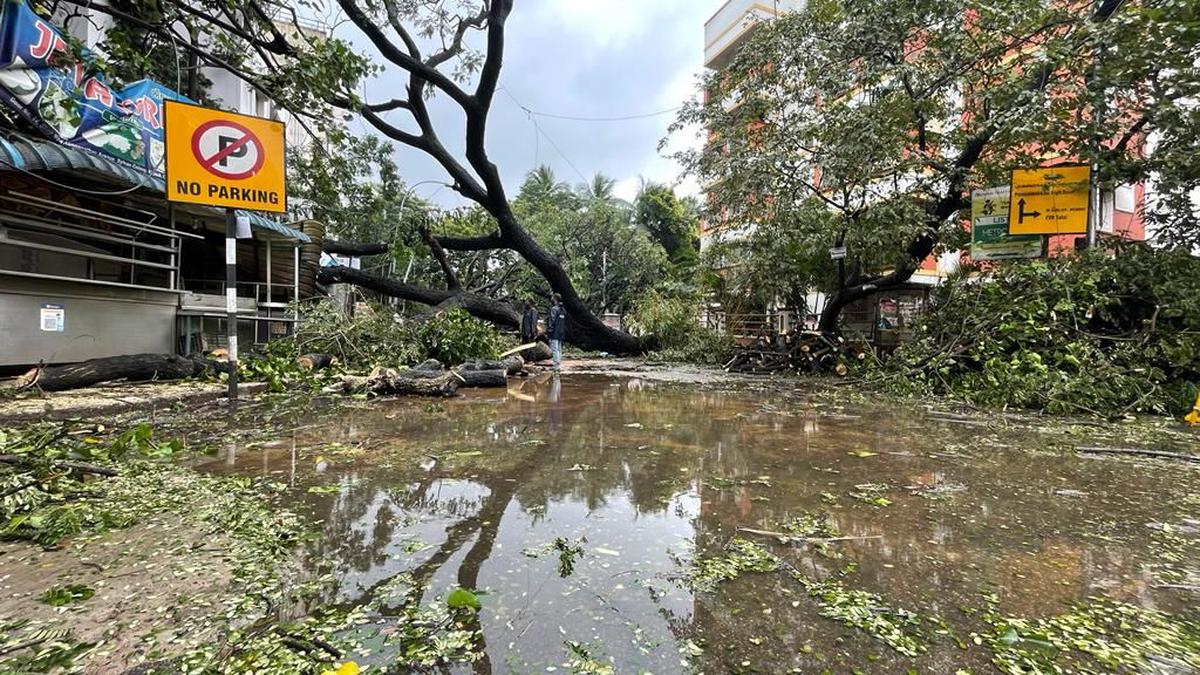 Cyclone Mandous crosses T.N. coast triggering heavy downpour, gusty winds