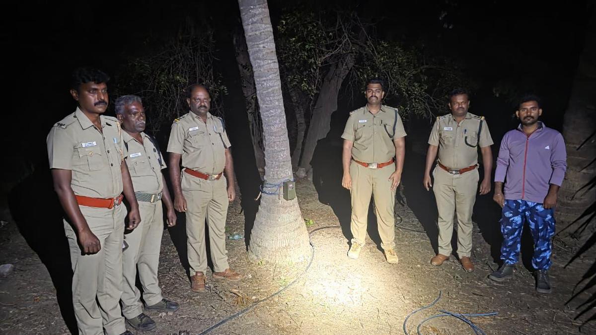 Efforts to trap elusive carnivore near Coimbatore under way