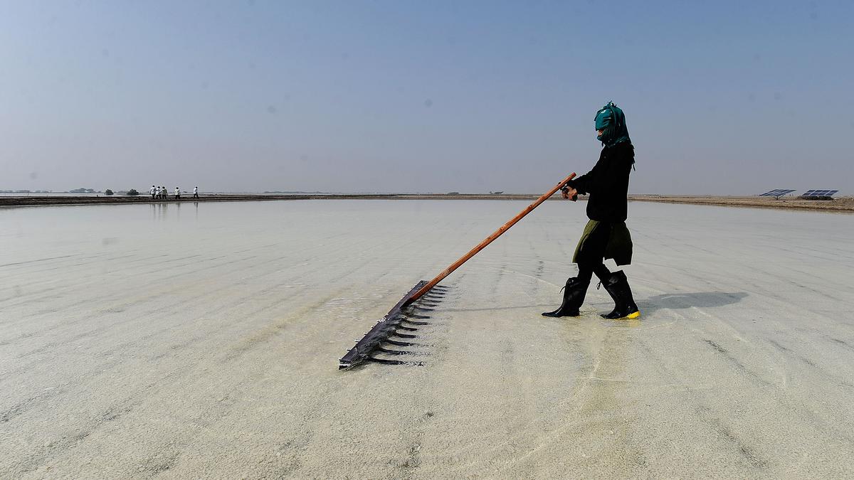 Crisis in salt sector hits 5 lakh people in Gujarat