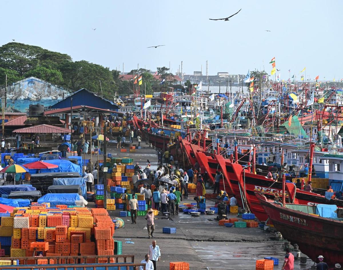 Deep sea fishing vessels, which ventured into the sea in the second week of August post 61-day fishing holiday, returned with a good catch, in Mangaluru on August 20, 2025.