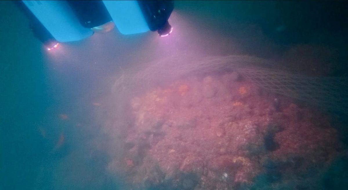 The team surveyed the seabed up to a depth of 23 metres using advanced marine exploration instruments. These tools helped to map the ocean floor and detect structural anomalies. The team surveyed the seabed up to a depth of 23 metres using advanced marine exploration instruments. These tools helped to map the ocean floor and detect structural anomalies.