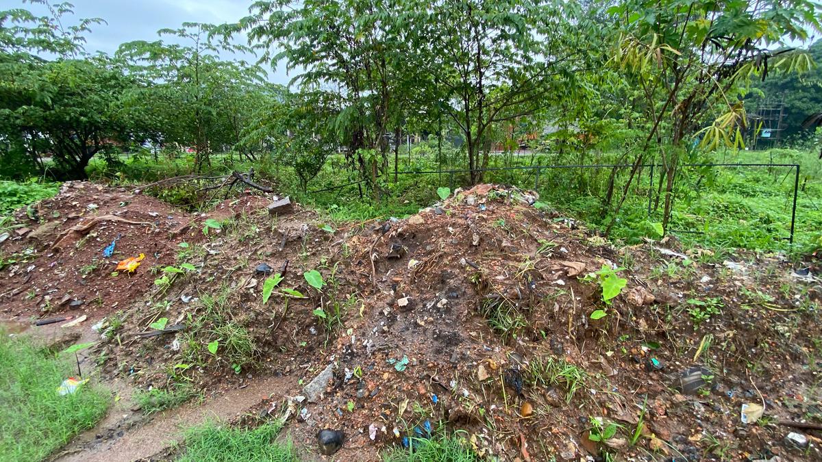 Some saplings of Padil Miyawaki forest get damaged after NHAI dumps debris on the site