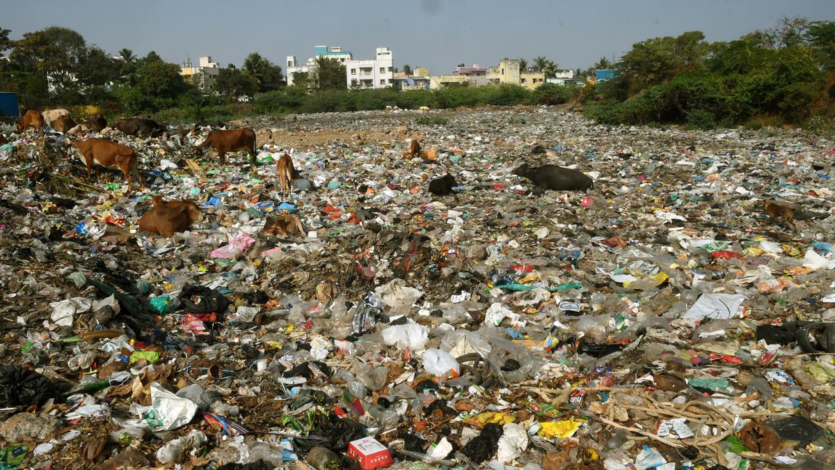 Medavakkam panchayat struggles to handle the mounting problem of unsegregated waste