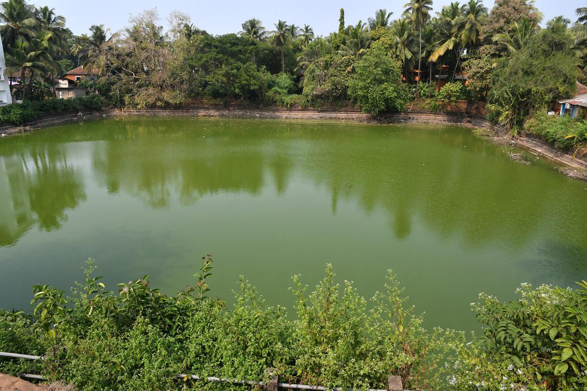 The Shettikere lake in Honnavara where the body of Paresh Mesta was found on December 8, 2017.