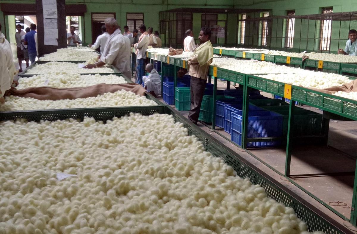 A government cocoon market in Ramanagara. A government cocoon market in Ramanagara.