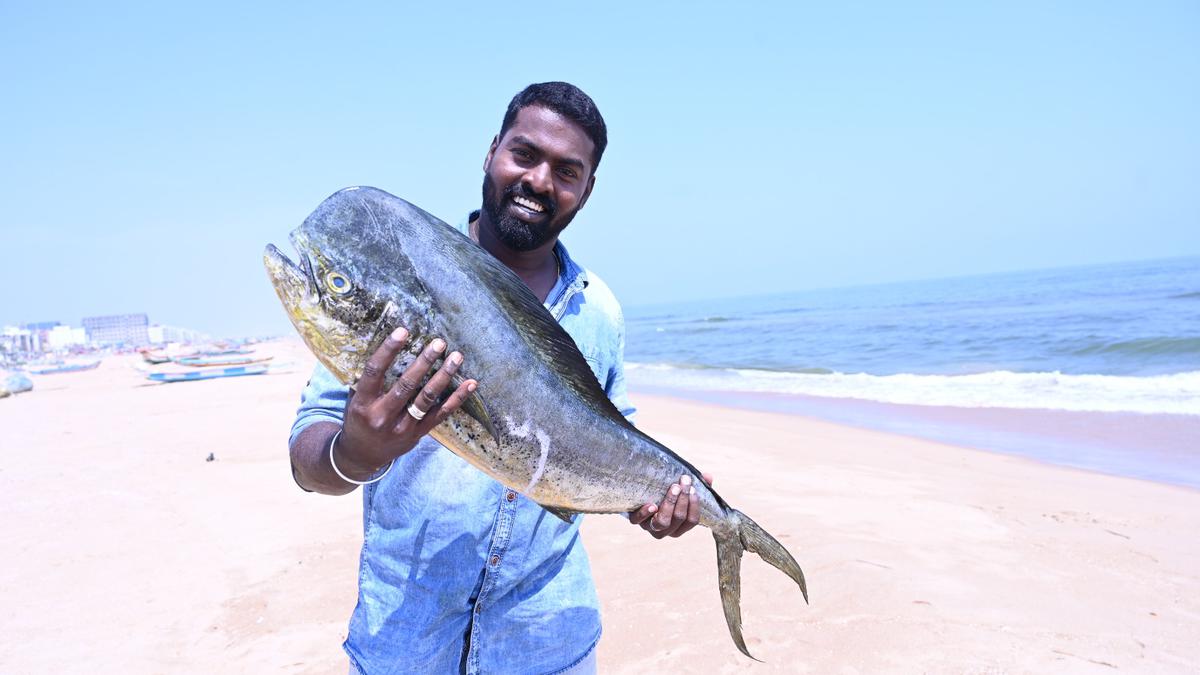 Watch | Have you visited the seafood stalls at Chennai’s Marina beach?