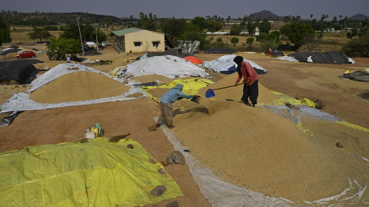Telangana rain | Expedite paddy procurement: CM