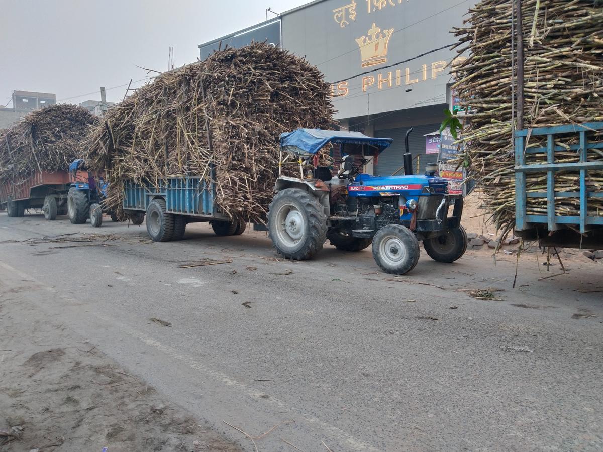 thehindu.com - Amit Bhelari - Bihar to explore potential of cooperative farming, teams to visit Gujarat