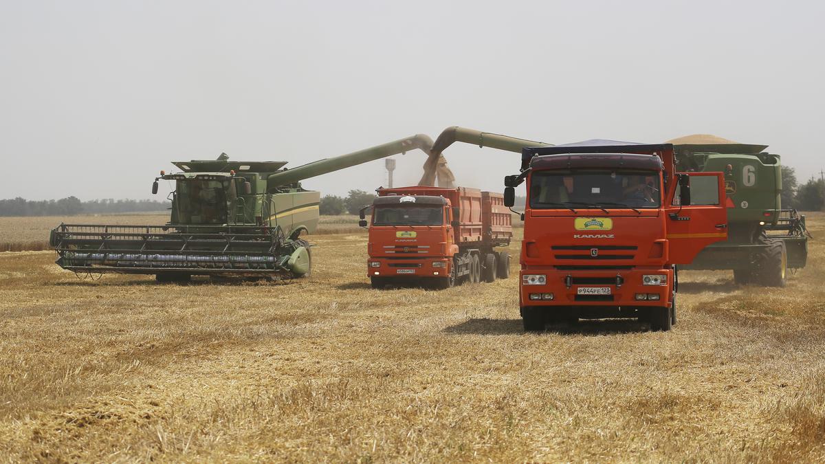 Explained | Will sanctions against Russia impact long-term supply of wheat, oil, metals and other goods?