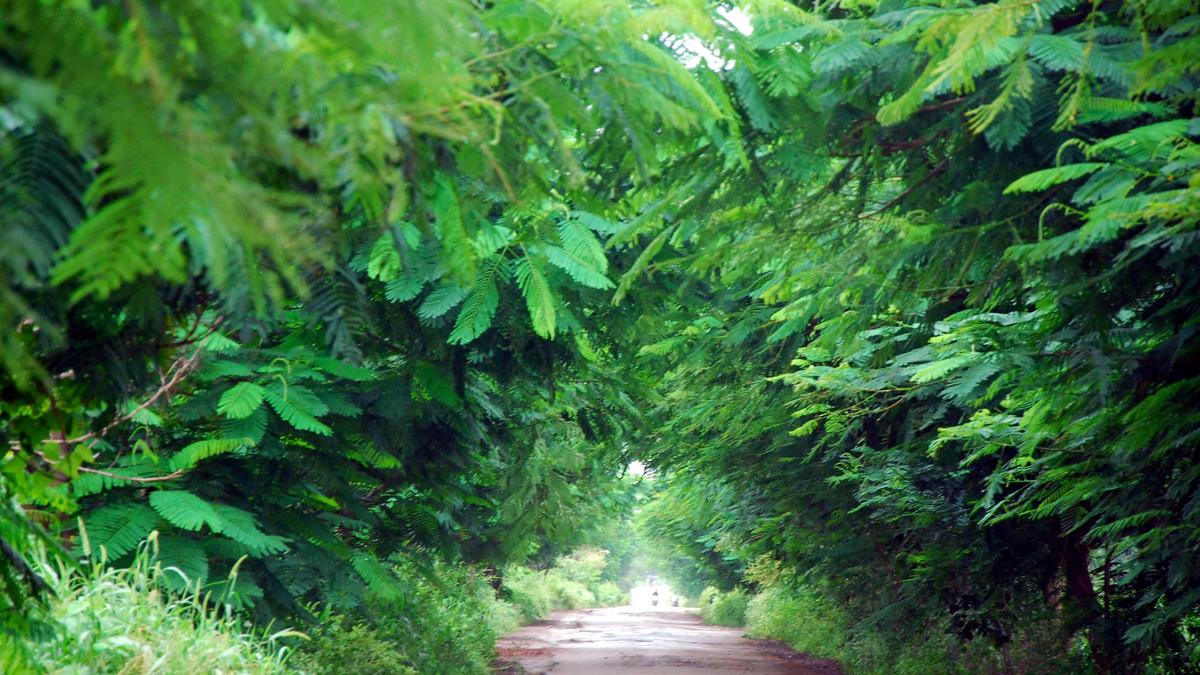 Telangana villages thrive with increased funding to PR and RD departments