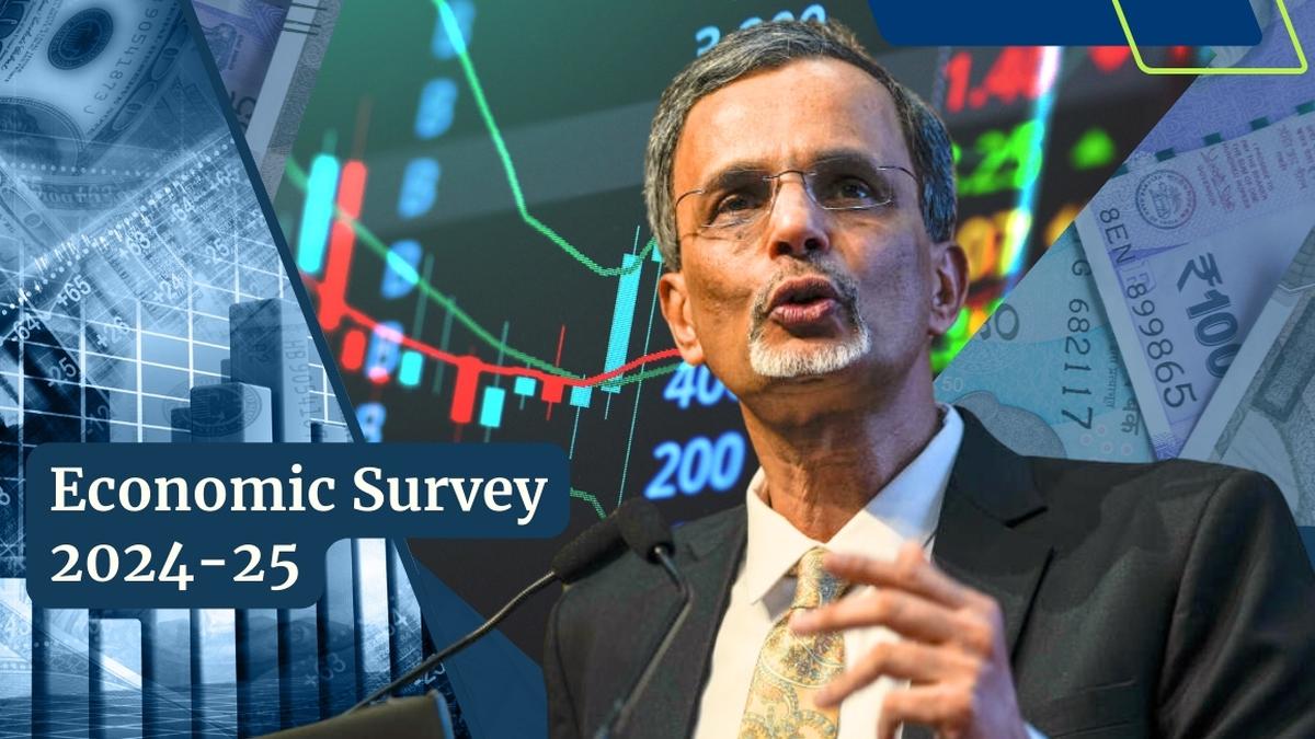 Economic Survey 2024-25: Key takeaways in charts