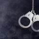 Suspected LeT operative arrested in Delhi's Ghazipur: police - The Hindu