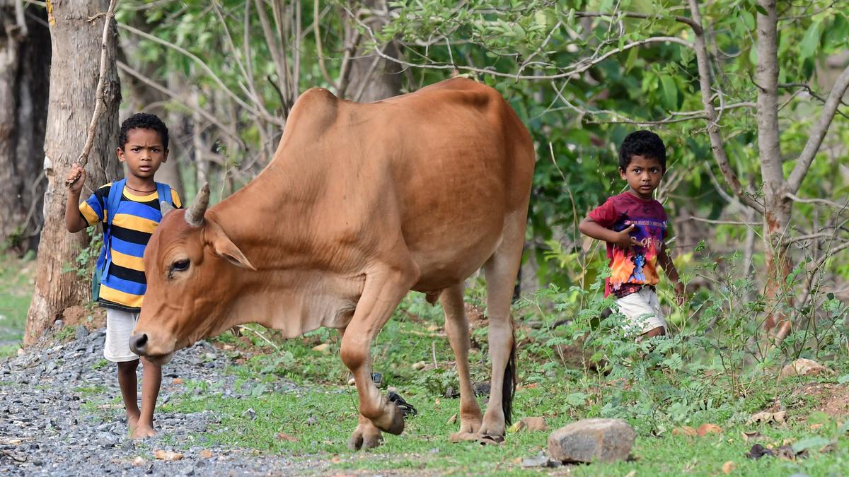 443 cases booked against people for engaging child labour in Andhra Pradesh