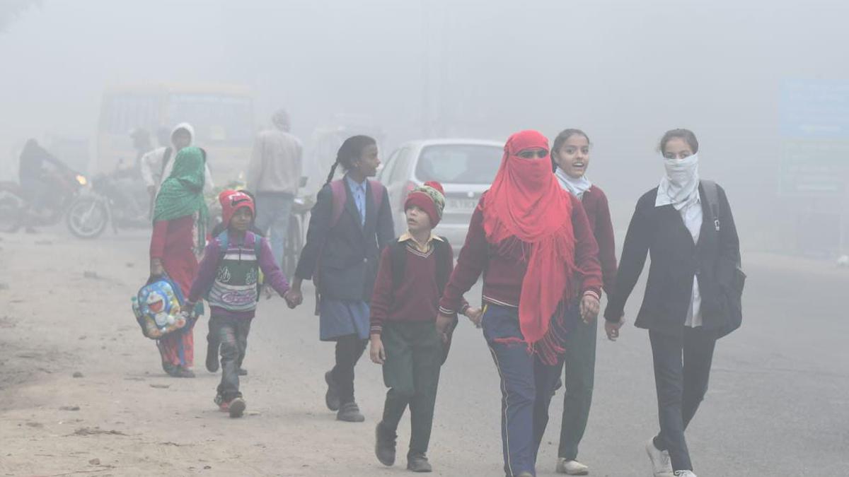 Smog envelops Delhi, traffic movement disrupted