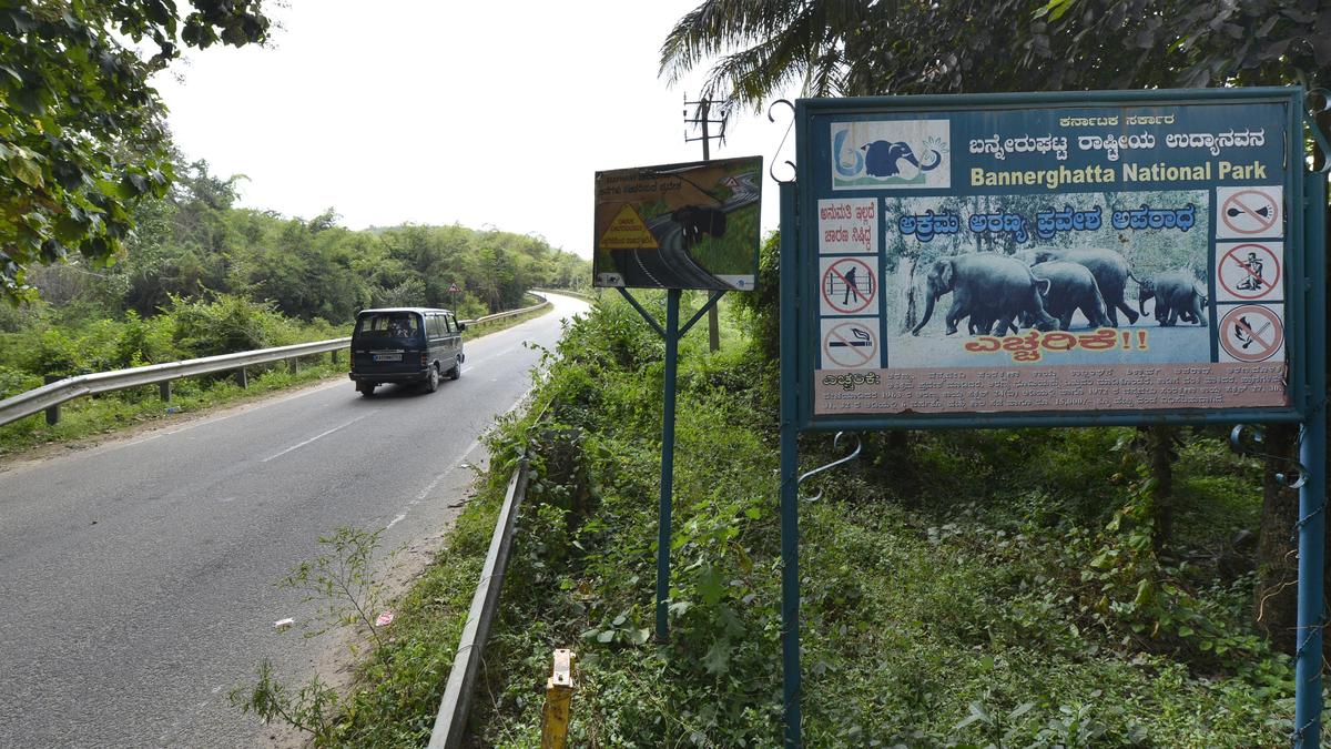 CEC member to visit Bannerghatta National Park following petition against reduction of buffer zone