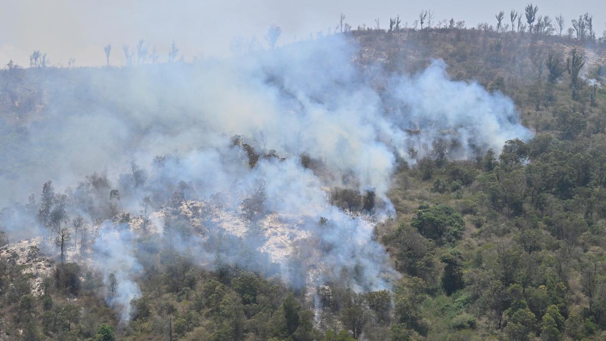 Forest fires spread across Nilgiris; helicopters help battle blaze