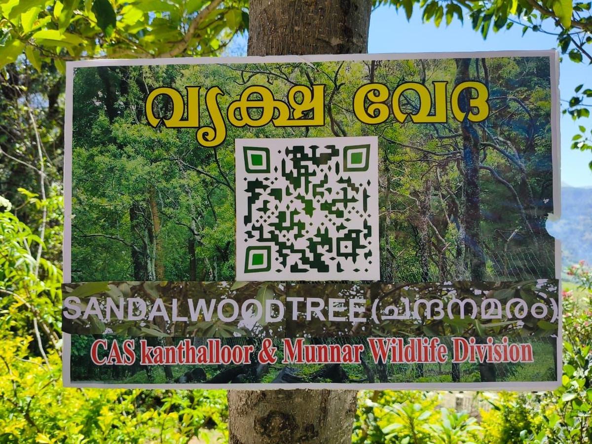 QR codes have been installed on trees, enabling visitors to scan and instantly access a wealth of information. 