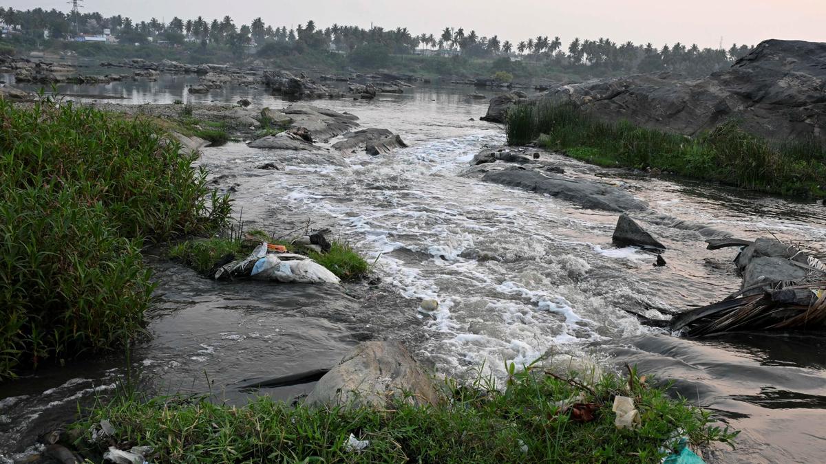 Constituency Watch: Erode (East) Assembly Constituency