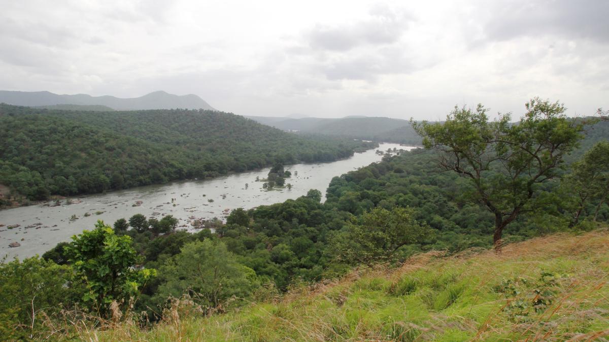 Concern over land conversion proposals before Cauvery Wildlife Sanctuary ESZ monitoring committee