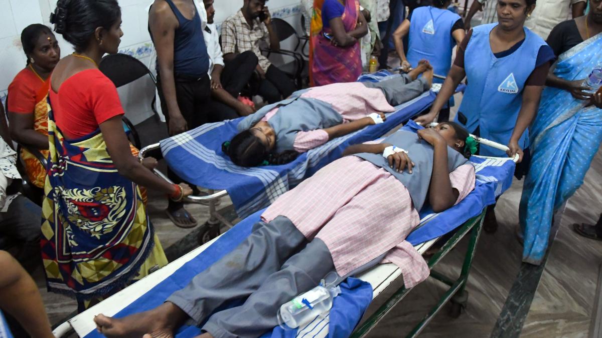 Students suffer minor injuries as branches of uprooted tree fall on them