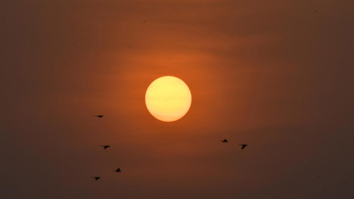 Mercury hits 38° Celsius mark in Bengaluru, highest this year 
