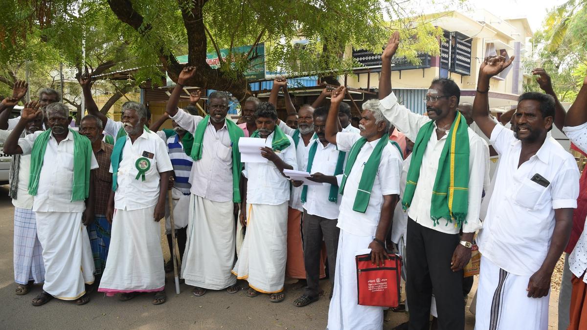 Wild boar issue: Tirunelveli farmers threaten to boycott Parliamentary election