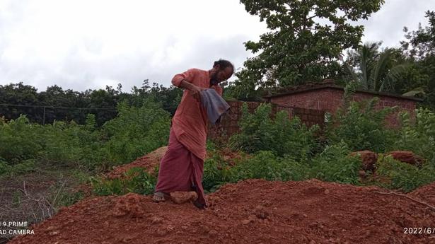 An artist is building a hill on 12 cents on land