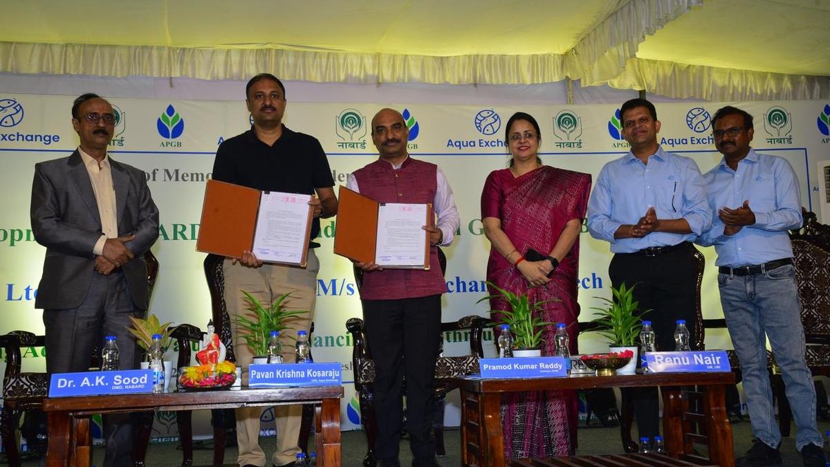 Collateral-free shrimp crop loan scheme launched in A.P.