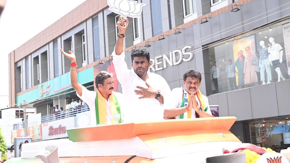 Rahul Gandhi, M.K. Stalin unlikely to share campaign stage in Tamil Nadu; BJP calls it sign of alliance fragility