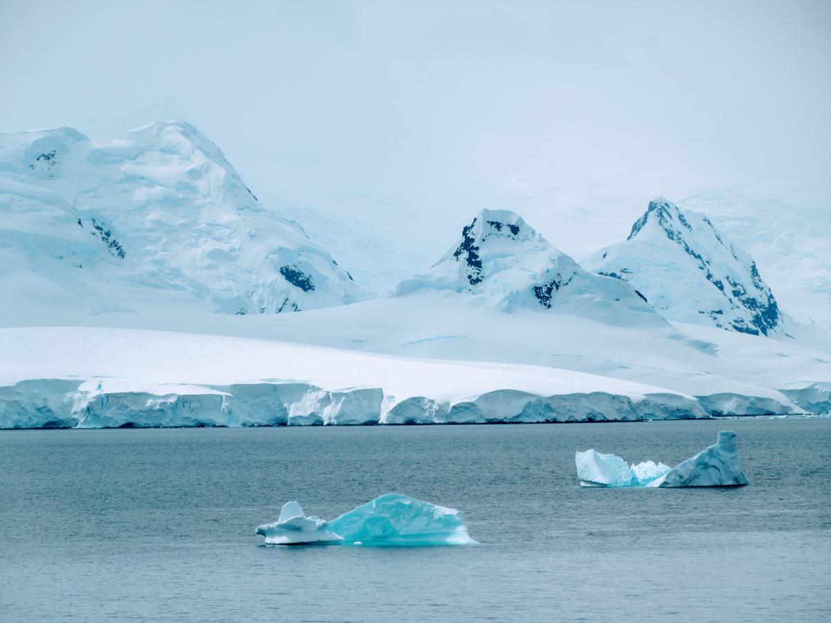 Sediment samples from Antarctica reveal million-year-old DNA