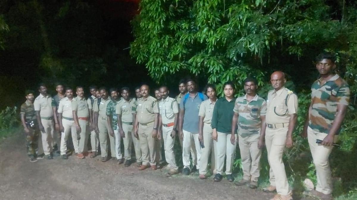 Seven forest department teams deployed in Tenkasi district to check wild animal invasion into ranches