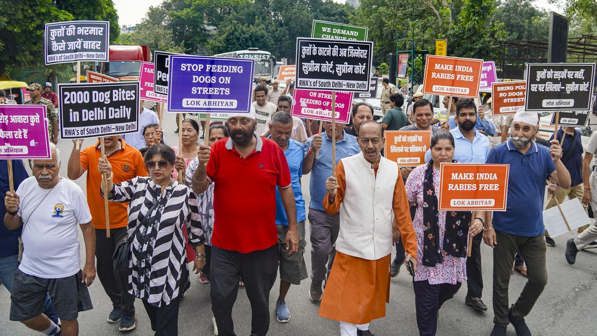 BJP leader Vijay Goel and Delhi RWAs demand shifting of stray dogs to shelter homes, compensation for dog bite victims