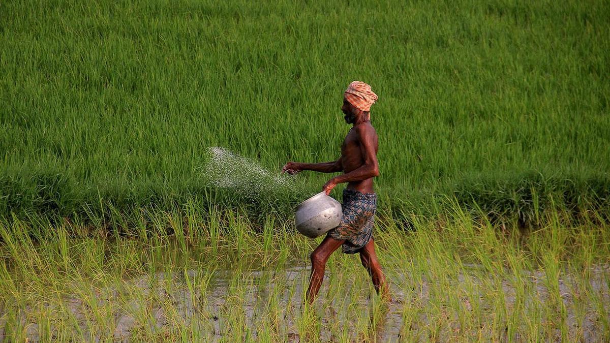 Farmer organisation calls dawn-to-dusk Odisha bandh over &lsquo;paddy procurement mess&rsquo; on January 28