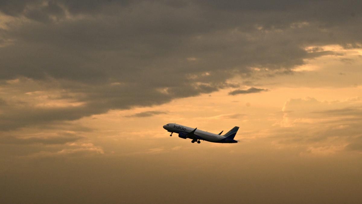 Air India, IndiGo remove over 100 daily flights each from domestic routes