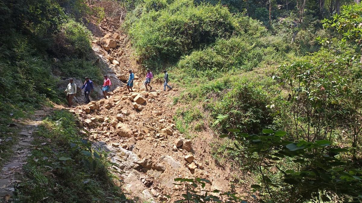 Tribal residents of Chinnala Kombai in the Nilgiris  continue to wait for road facility
