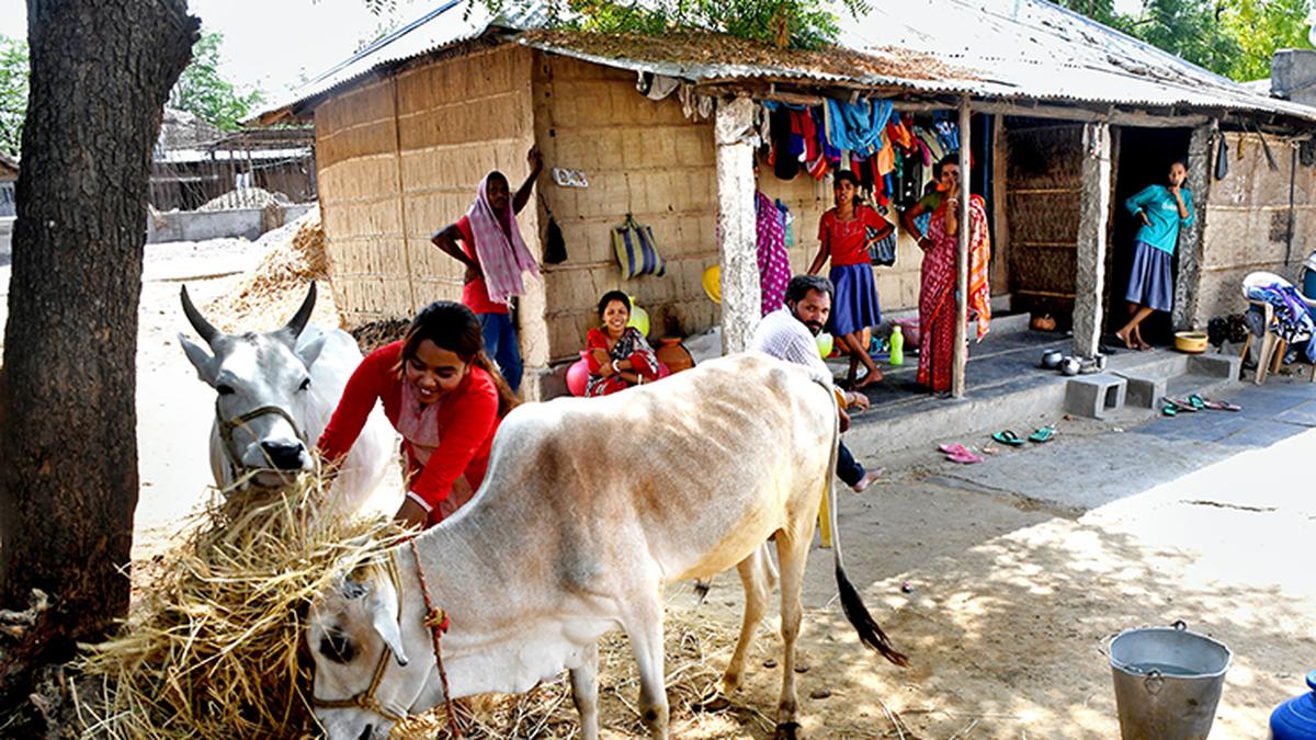 Five Hindu Bangladeshi immigrants in Karnataka get citizenship, but wait for others is still long