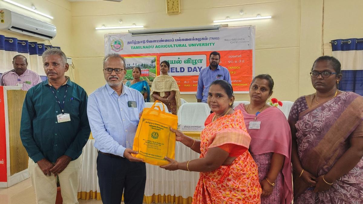 Farmers witness demonstration on bioinoculants in sustaining soil health