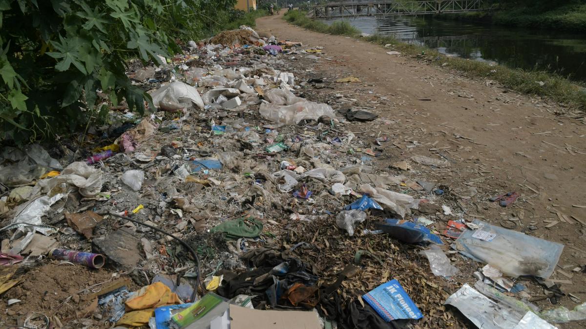 State’s largest poultry waste rendering plant to be set up in Visakhapatnam