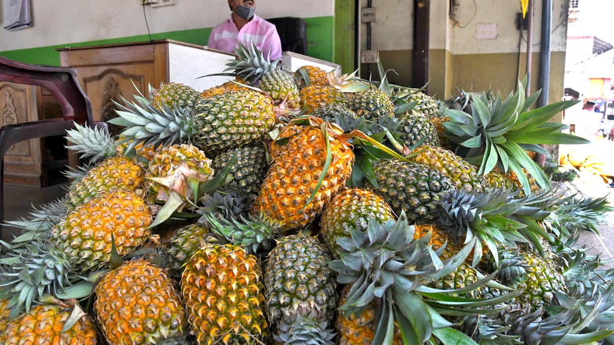 Shortage of fertilisers hits pineapple farmers in Kerala