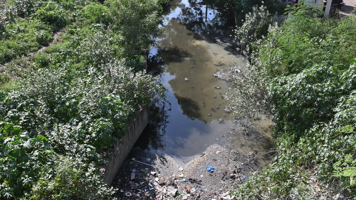 Causes of pollution of Kiruthumal river will be identified and communicated to local bodies for taking action, HC told