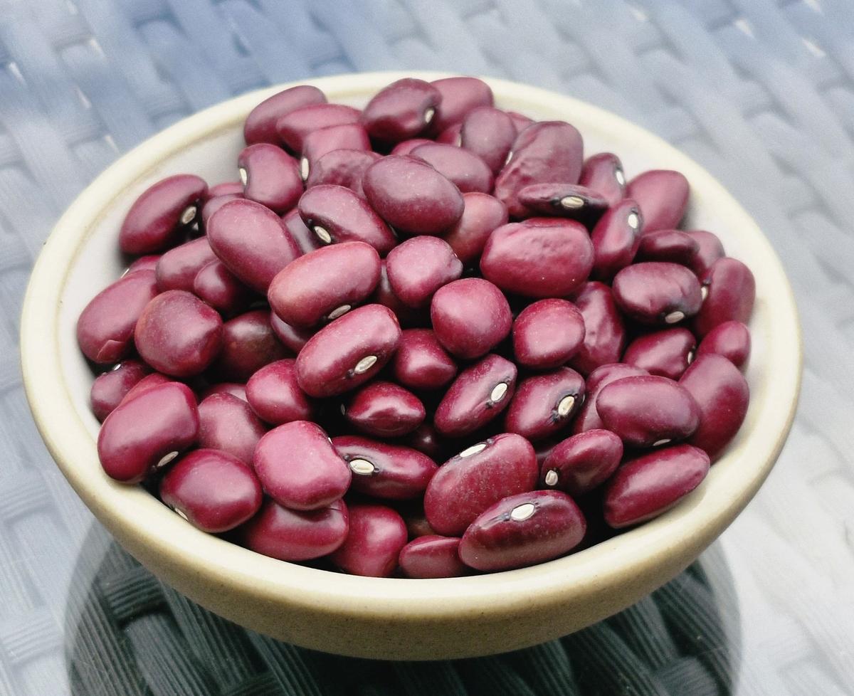 Uncooked rajma beans from Bhaderwah Uncooked rajma beans from Bhaderwah