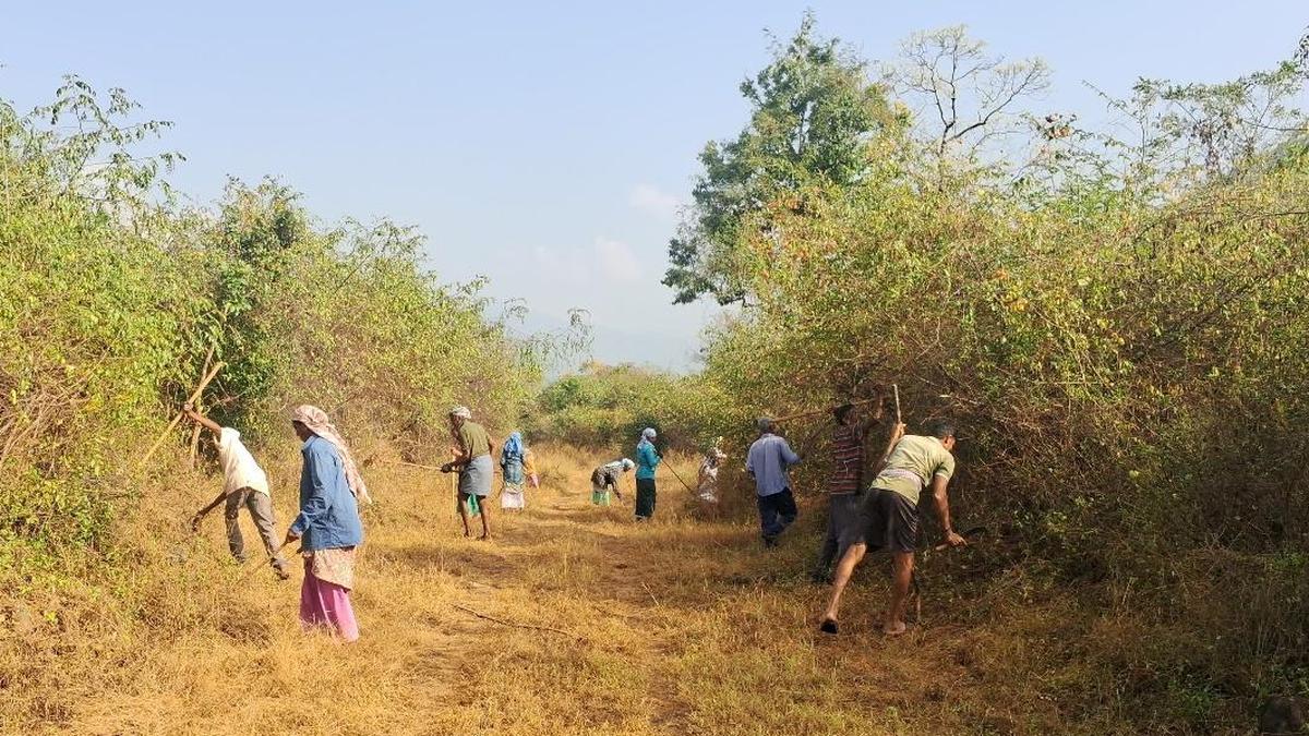 Erode Forest Fire Prevention Plan Uses New Tech