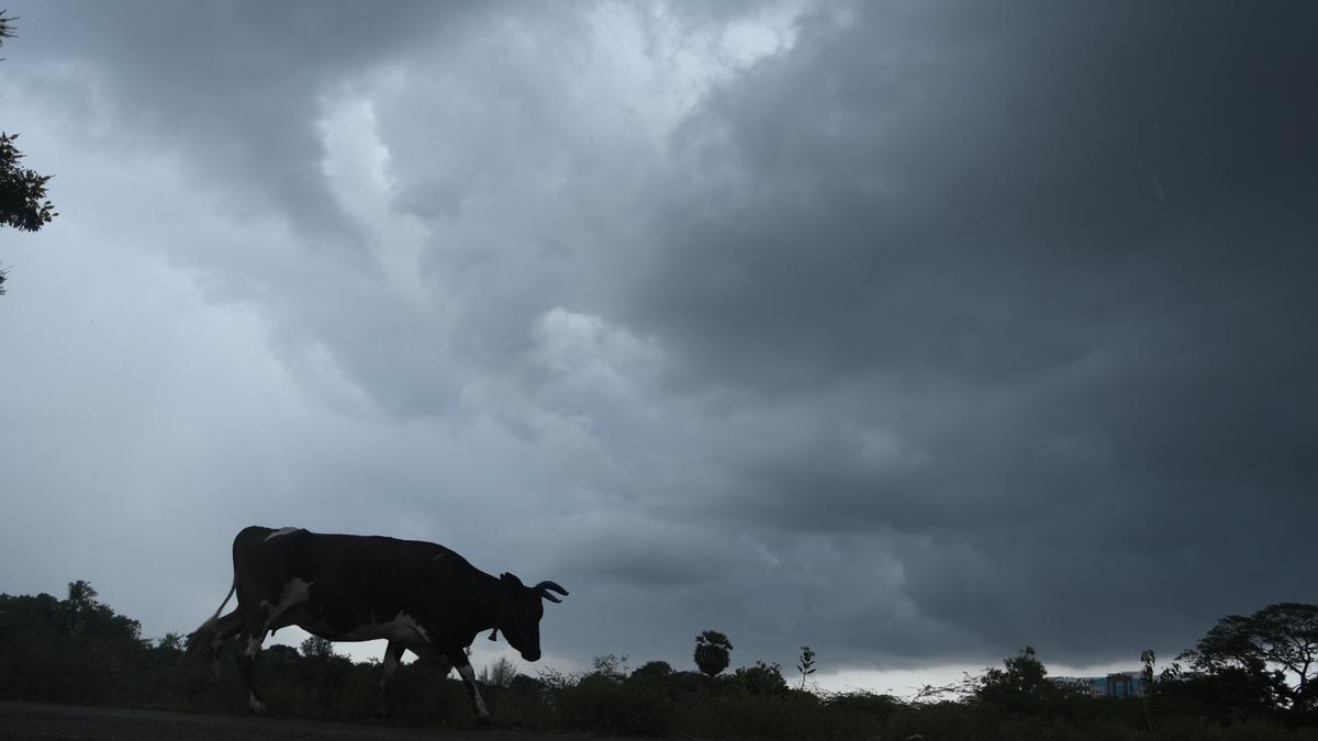 Many parts of the State may take a break from searing heat till month-end