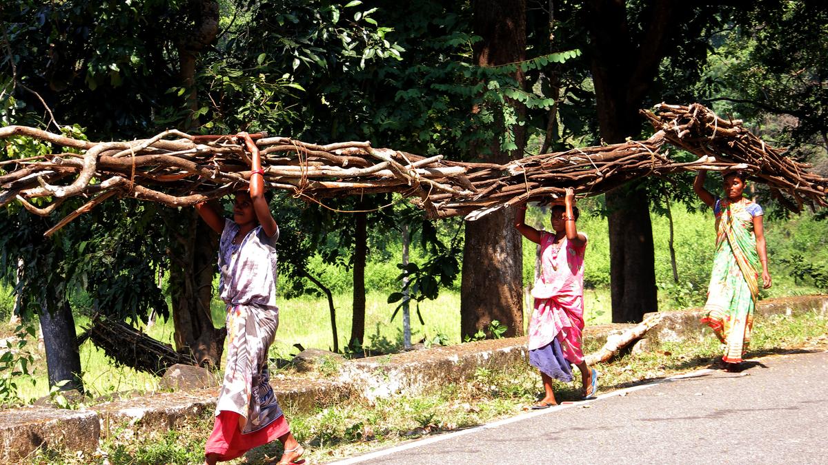 Women made up over 74% beneficiaries under financial assistance scheme of NSTFDC in 2021-22: Govt. to LS